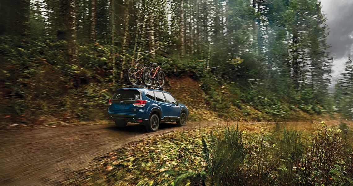 Used Subaru SUV driving into a forest