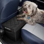 Subaru cargo storage with a dog in the back seat of a car